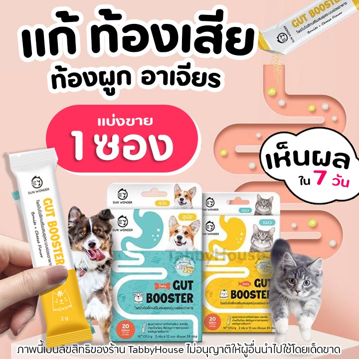 Gut Booster โพรไบโอติกเสริมสมดุลระบบย่อยอาหารสําหรับแมว และสุนัข สูตรพิเศษ Sun Wonder