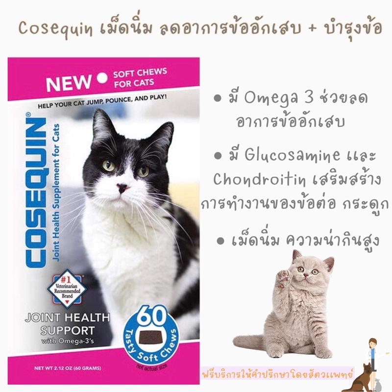 Cosequin for Cat Soft Chews 🐱 อาหารเสริมบรรเทาอาการข้ออักเสบ + บํารุงข้อ 60 เม็ด