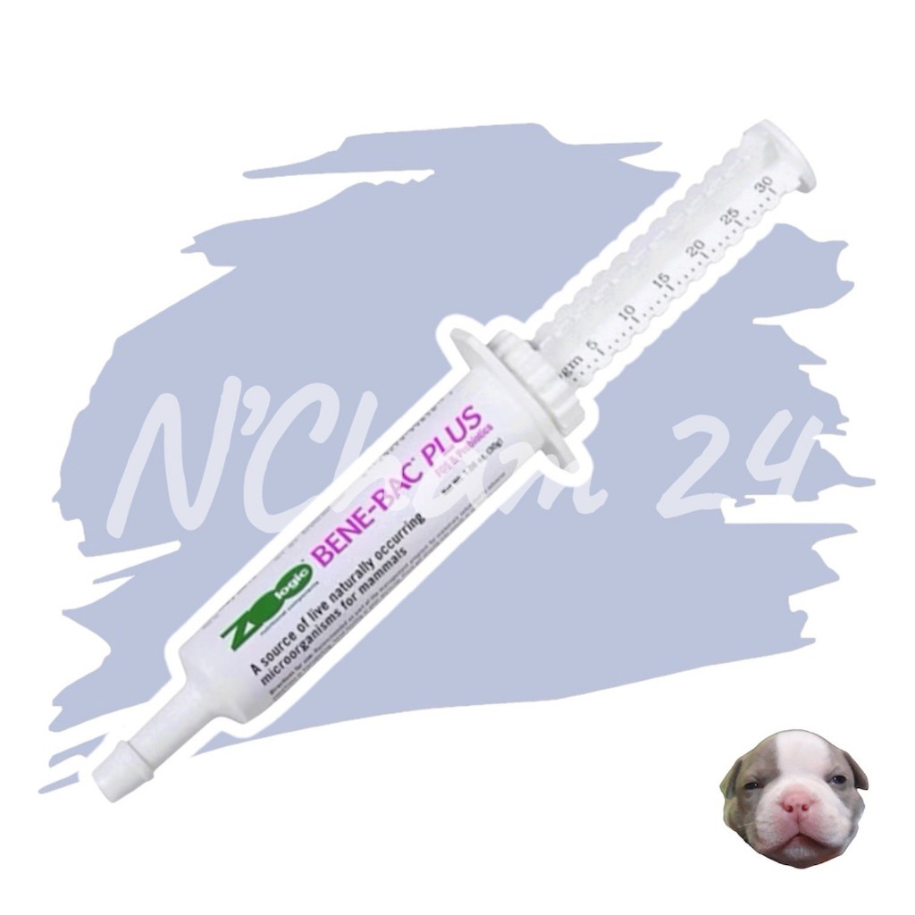 PetAg Benebac plus gel 30g หมดอายุ11/2027 ช่วยย่อย ในสุนัข แมว กระต่าย