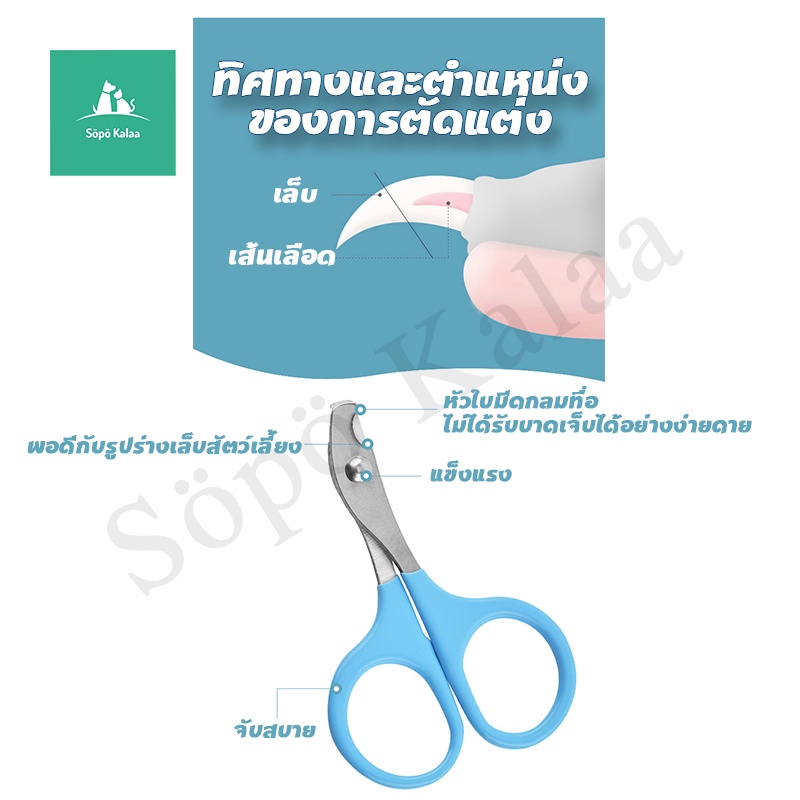 กรรไกรตัดเล็บสัตว์ กรรไกรตัดเล็บแมว ที่ตัดเล็บแมว