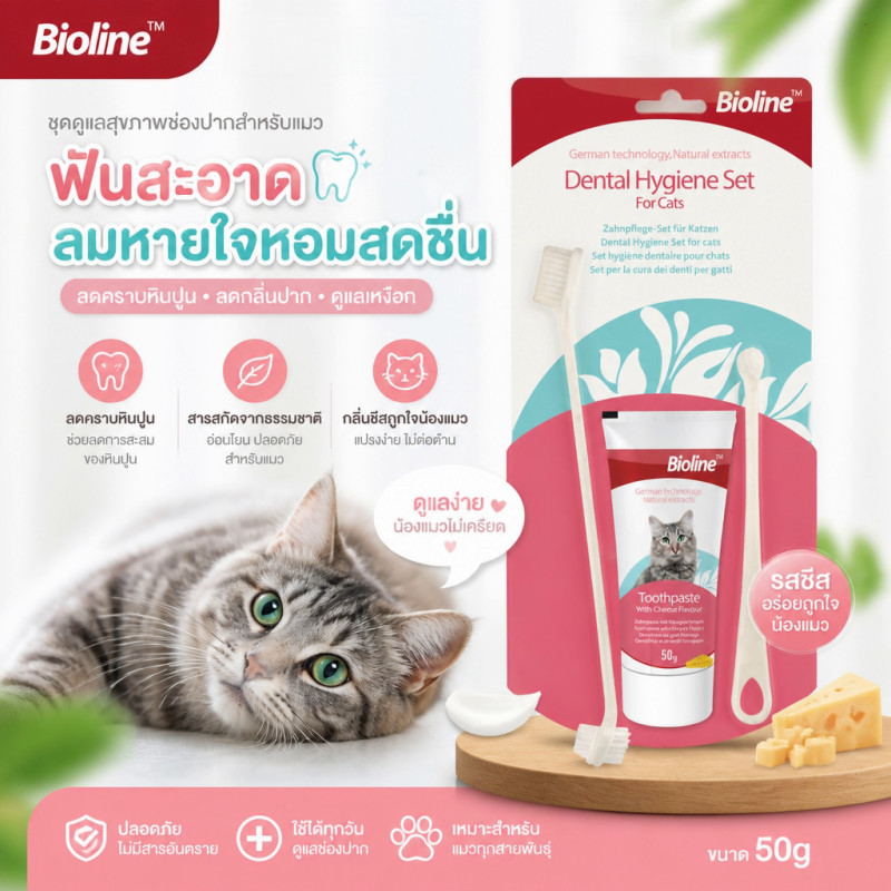 Bioline😻ยาสีฟันแมว แปรงสีฟันแมว ชุดทําความสะอาดฟันแมว รสชีส ยาสีฟันพร้อมแปรง 3 ขนาด ลดกลิ่นปาก ลดการสะสมของแบคทีเรีย