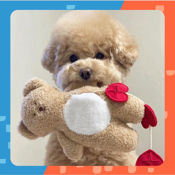 Pocket Love Bear Toys ตุ๊กตาสําหรับสัตว์เลี้ยง รูปหมี ของเล่นสัตว์เลี้ยง ตุ๊กตาสําหรับแมว