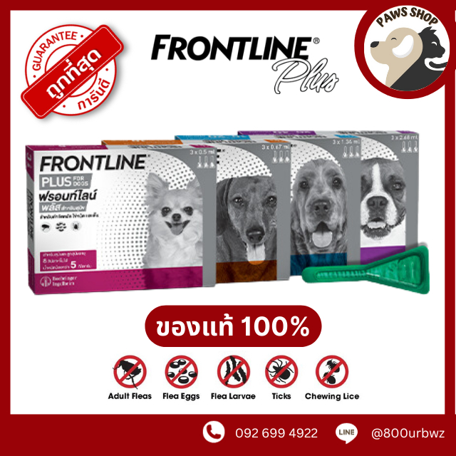 FRONTLINE PLUS ยาหยอดกําจัดเห็บ หมัด สุนัขและแมว 1 กล่อง บรรจุ 3 หลอด (วอส.1266/2554)