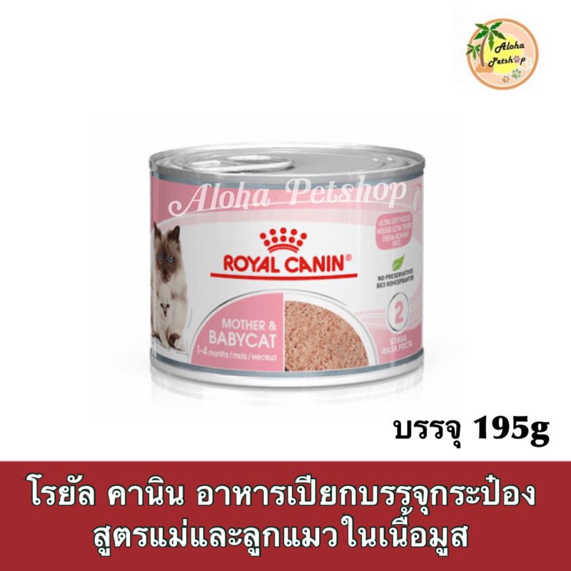 Royal canin Babycat Cans 195g❤ 😺โรยัล คานิน เบบี้แคท 195g