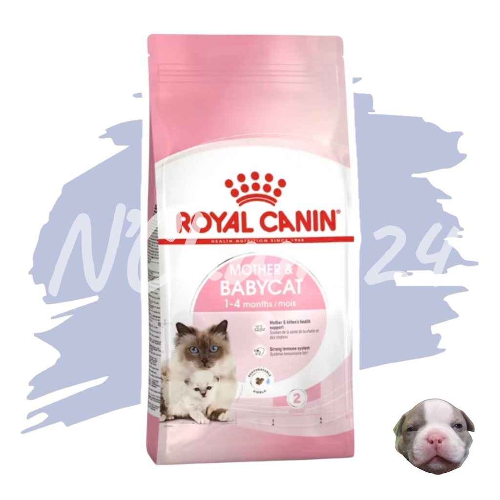Royal Canin Mother & BabyCat 4kg และ 10kg สําหรับลูกแมวตั้งแต่อย่านม - 4 เดือน และแม่ตั้งท้องให้นมลูก