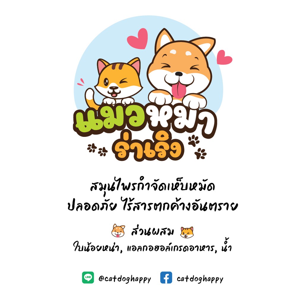 แมวหมาร่าเริง : น้ํายาสมุนไพรกําจัดเห็บหมัด