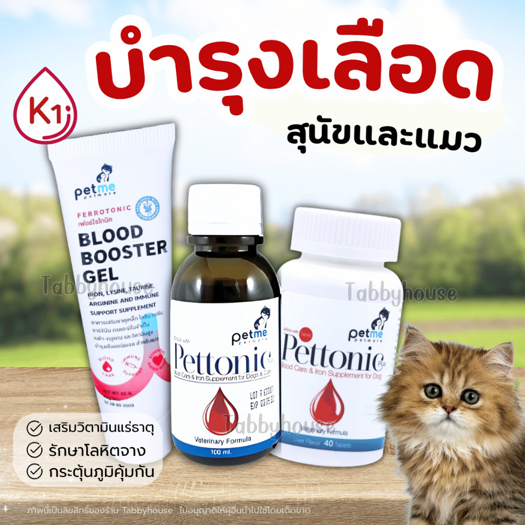 Pettonic บํารุงเลือด สุนัข และ แมว ชนิดน้ํา เม็ด เจล เสริมวิตามินK10จากธรรมชาติ ไม่ทําลายตับ Petme