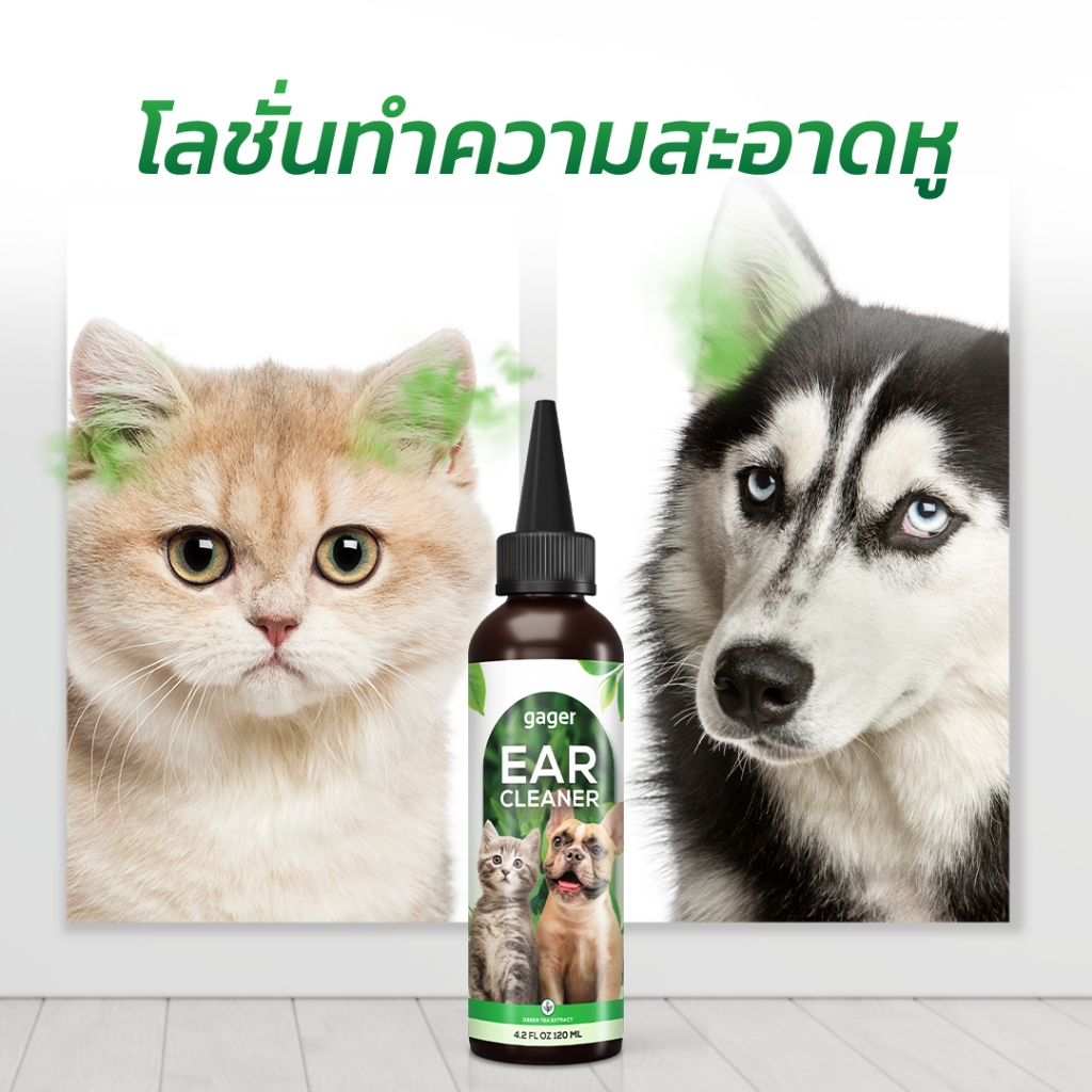 Gager (กาเจอร์) โลชั่นเช็ดหูแมว โลชั่นเช็ดหูหมา โลชั่นทําความสะอาดหู ช่วยลดกลิ่น ป้องกันไรหู ใช้ได้ทั้งแมวและหมา (120ml.)