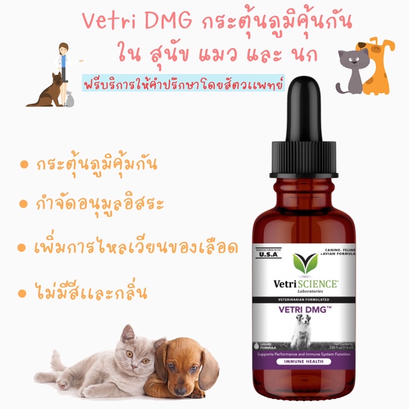 VetriScience® Laboratories ’Vetri DMG TM 30 ml/ 114 mlกระตุ้นภูมิในสุนัข แมว และนก