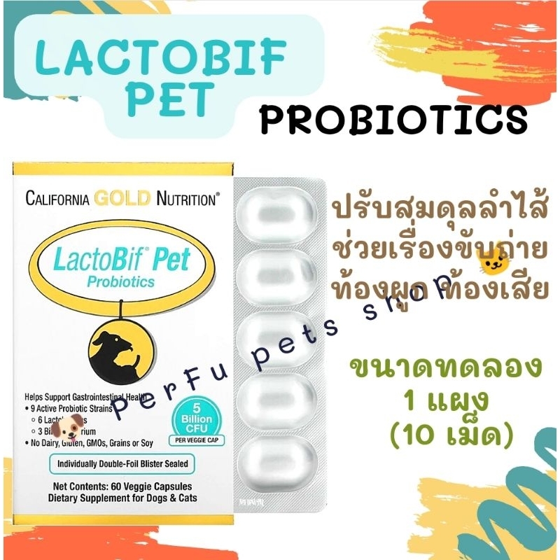 LactoBif Pet Probiotics สําหรับสุนัขและแมว 🎏🇺🇸 .. ปรับสมดุลลําไส้ ท้องผูก ท้องเสีย
