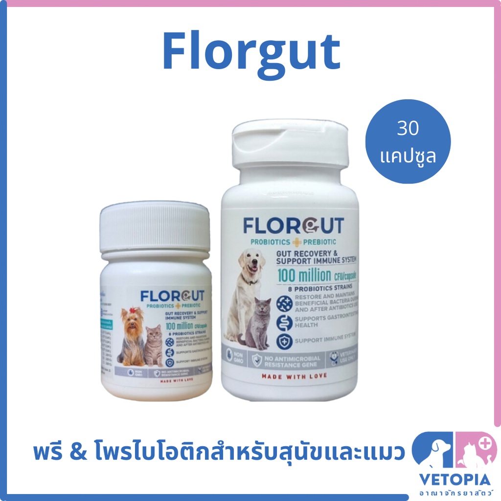 Florgut Probiotics & Prebiotics สําหรับสุนัขและแมว ปรับสมดุลระบบทางเดินอาหาร <1 กระปุก = 30 เม็ด