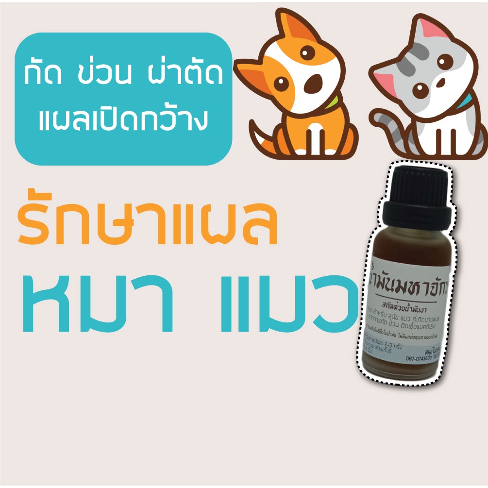 รักษาแผลหมาแมว แผลสัตว์เล็กสัตว์ใหญ่ แผลติดเชื้อ หายยาก น่้ํามันดีนักแล