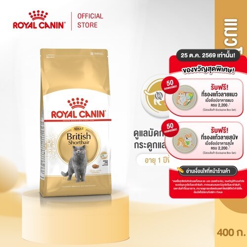 Royal Canin British Shorthair Adult400g อาหารเม็ดแมวโตพันธุ์บริติช ชอร์ทแฮร์อายุ12เดือนขึ้นไป(Dry Cat Food, โรยัล คานิน)