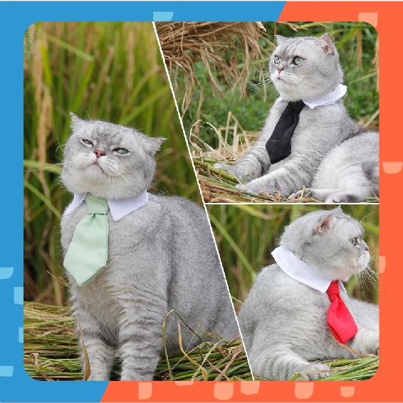 เนคไทสัตว์เลี้ยง Gentleman Pet Tie เนคไท เครื่องประดับสัตว์เลี้ยง โบว์แมว หมา