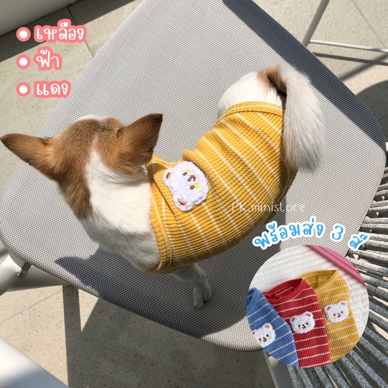 ลดล้างสต๊อก 🧸 เสื้อสัตว์เลี้ยง เสื้อหมา แขนกุดลายขวาง 3 สี เสื้อแมว