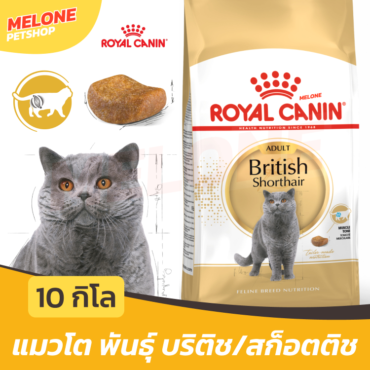 กระสอบ] Royal Canin British Shorthair Adult อาหารแมว พันธุ์บริติช ชอร์ตแฮร์ แมวโต อายุ 12 เดือน ขึ้นไป 10kg