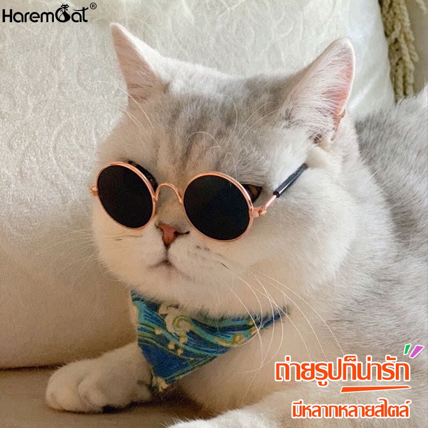 Harmcat แว่นตาน่ารัก แว่นกลม มีหลายแบบให้เลือก แว่นตากันแดด เหมาะสําหรับแมวและสุนัขตัวเล็ก แว่นแมว แว่นหมา แว่นสุนัข