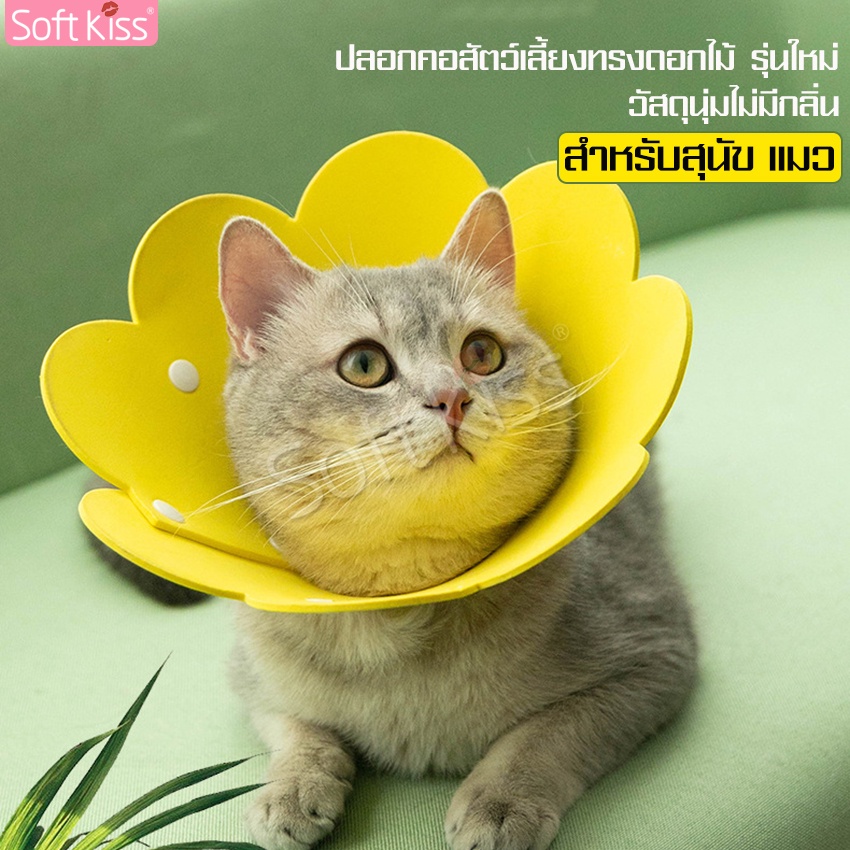 Softkiss ปลอกคอกันเลีย คอลล่าดอกไม้ ลําโพงแมว คอลล่าแมว คอลล่าหมา สําหรับสัตว์เลี้ยง