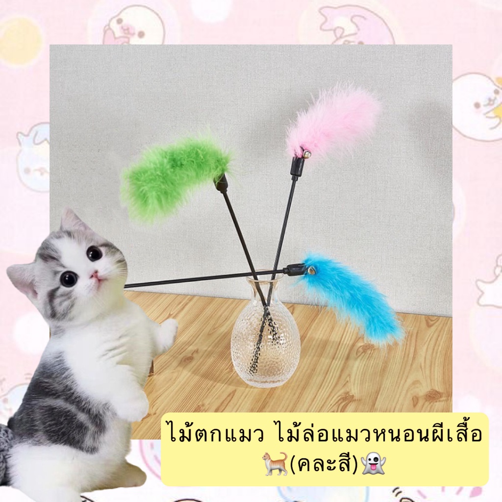 BN-397 ไม้ตกแมวหนอนผีเสื้อสุดน่ารัก สีสันสดใสแบบคละสี ที่จะทําให้น้องแมวของคุณเพลิดเพลินใจไม่มีเบื่อ! ยาว 50 ซม. พร้อมเสี