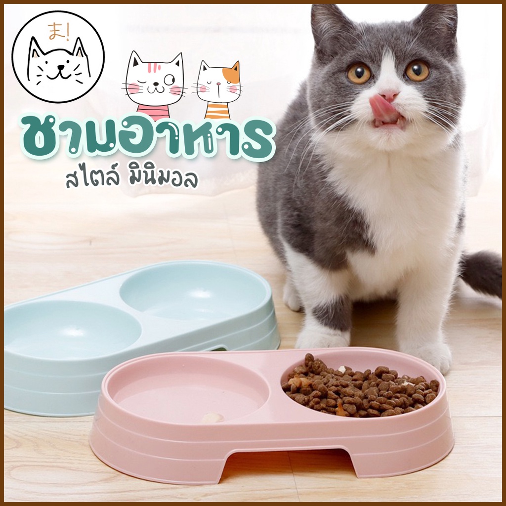 KUMAま ชามอาหารสัตว์เลี้ยง ชามน้ํา ชามข้าวสุนัข แมว