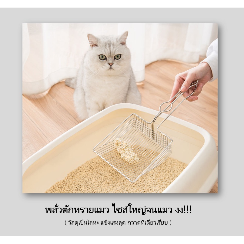 ABC cat] [ C010 ] ที่ตักทรายแมว * นะคะ** พลั่วตักทรายแมว พลั่วตักทราย