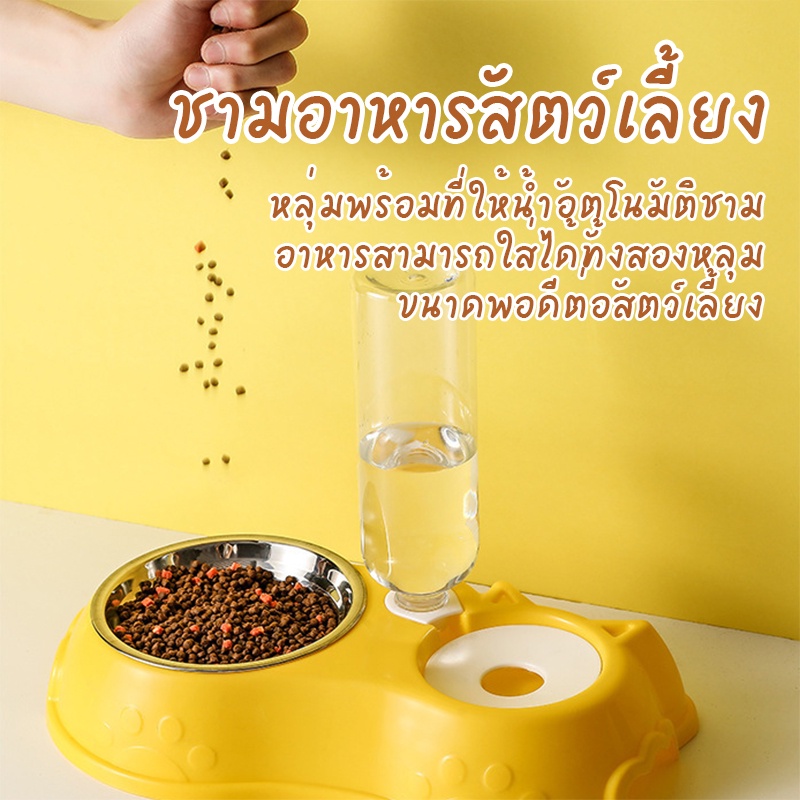 ชามแมว ชามอาหารแมว ชามอาหารสัตว์เลี้ยง พร้อมที่ให้น้ําอัตโนมัติ ชามข้าวแมว ชามอาหารสุนัข ป้องกันกระดูกคอ