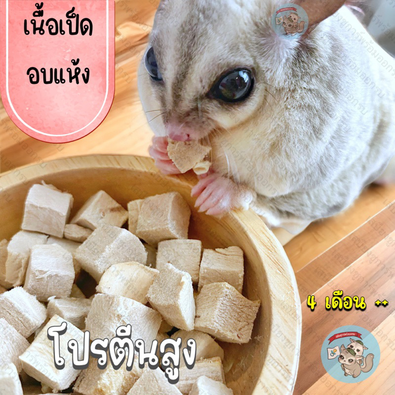 เนื้อเป็ดอบแห้ง ) DUCK เนื้อเป็ด อาหาร ชูการ์ กระรอก แฮมสเตอร์ ดอร์เมาส์ บุชเบบี้ ลิงมาโมเสท เม่นแคระ ชูก้า หมา แมว