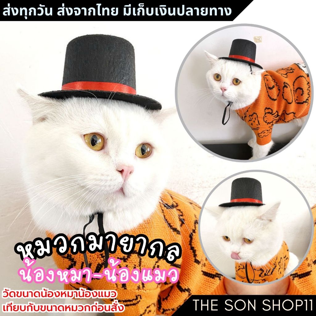 หมวกมายากลแมว หมวกหมา
