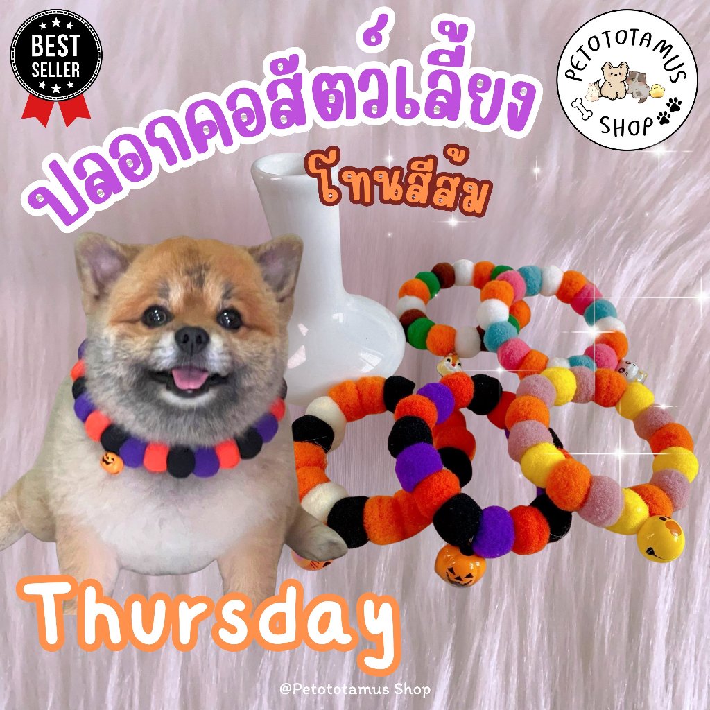 Thursday #1: ปลอกคอแมว (โทนสีส้ม-น้ําตาล) Orange ปลอกคอสุนัข ปลอกคอสัตว์เลี้ยง ปอกคอแมว