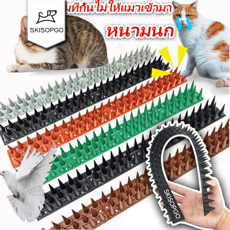 หนามนก อุปกรณ์ไล่นก น้ํายาไล่นก หนามที่กั้นไม่ให้แมวเข้ามา bird thorn พับได ตัดได้ ทนแดดทนฝน