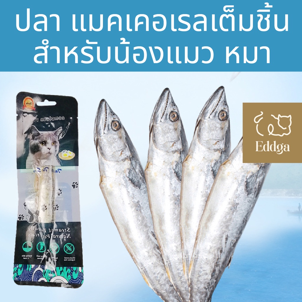 จากไทย100% Eddga ปลาแมคเคอเรล ต้มสุก mackerel🐟 🐟 ขนมหมา🐶 ขนมแมว😸 ปลาต้ม ปลา แมว ปลาทะเล โปรตีนสูง