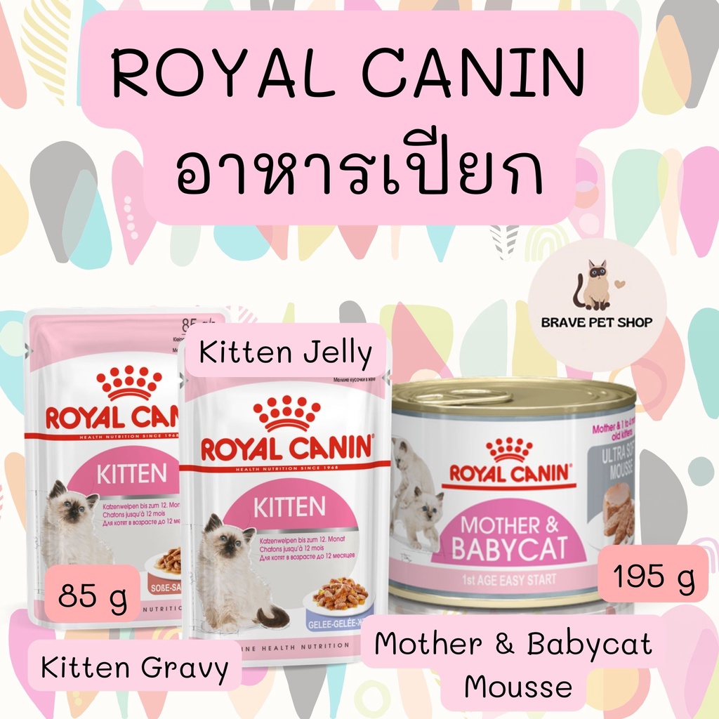 Royal Canin อาหารเปียก สูตรMother & Babycat Mousse และสูตร Kitten