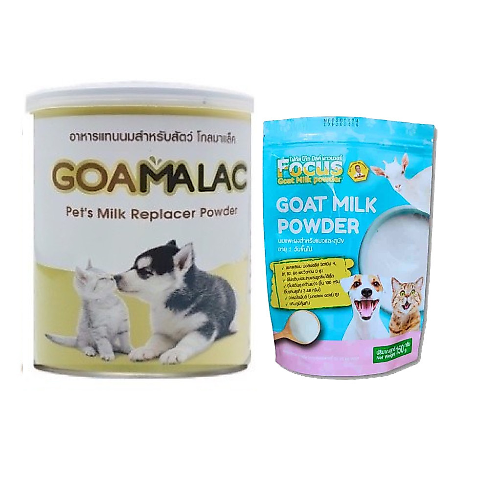 GOAMALAC นมแพะผง by Pet8/ Focus Goat Milk นม ลูกสุนัข ลูกแมว มีโปรตีน ไขมันที่ย่อยเเละดูดซึมง่าย