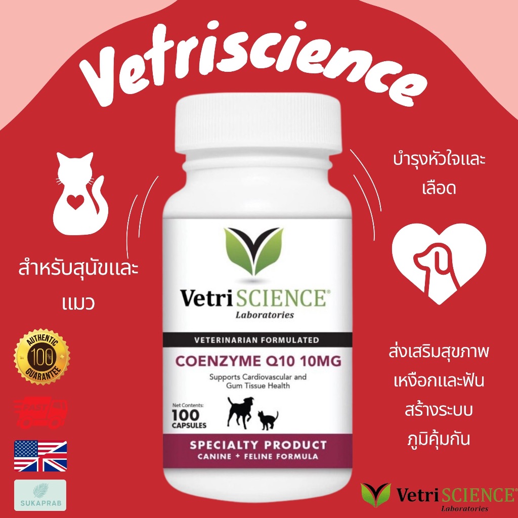 VetriScience Laboratories - Coenzyme Q10 10mg, 100 แคปซูล สําหรับสุนัขและแมวนําเข้าจากอเมริกา
