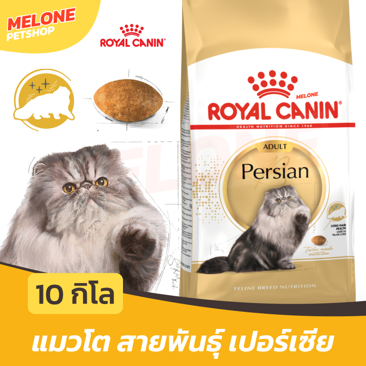 กระสอบ] Royal Canin Persian Adult รอยัลคานิน อาหารแมว พันธุ์ เปอร์เซีย อาหารแมว แมวโต 1 ปีขึ้นไป ขนาด 10 kg