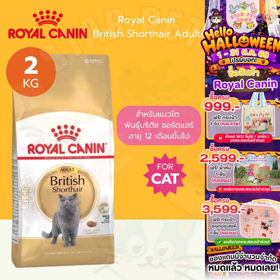 Royal Canin British Shorthair Adult & Kitten ขนาด 2 กิโลกรัม โรยัลคานิน อาหารสําหรับแมวโต&เด็ก พันธุ์บริติช ชอร์ตแฮร์