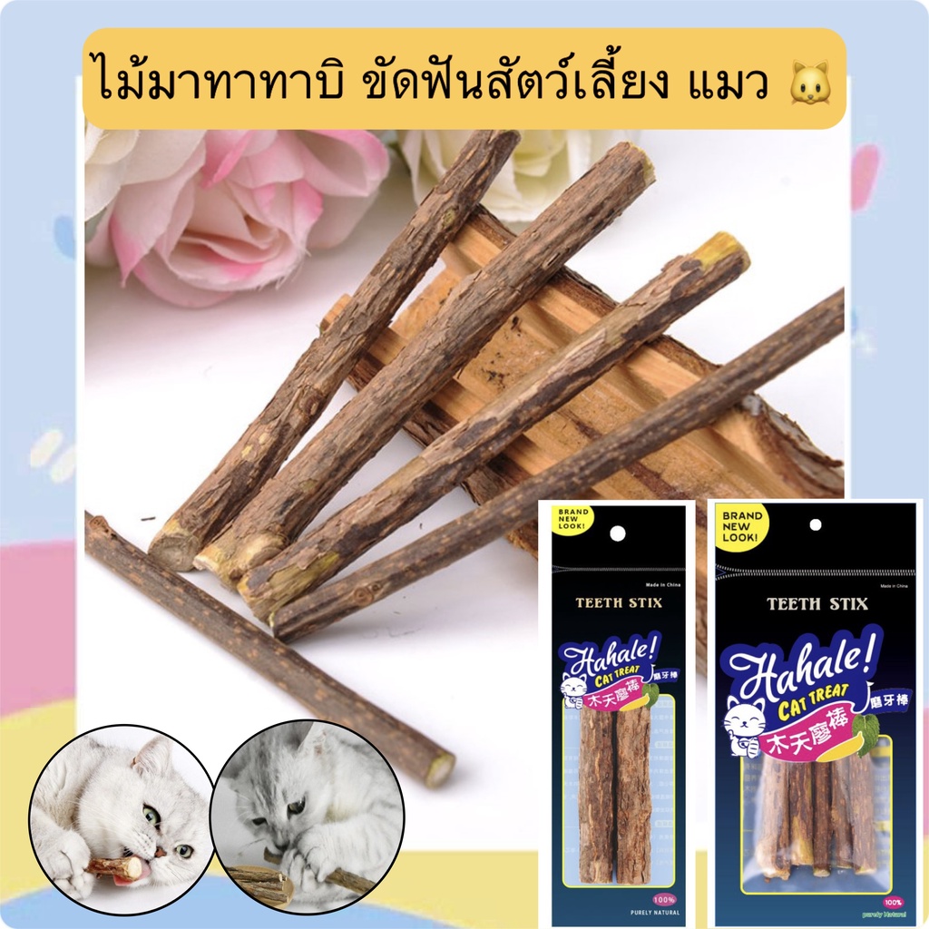 BN-367 ไม้มาทาทาบิ ขัดฟันสัตว์เลี้ยงแมว 🍃🪵 ของเล่นธรรมชาติสุดโปรดของน้องแมว ช่วยขัดฟัน แก้เครียด เพลิดเพลิน และสุขภาพดี