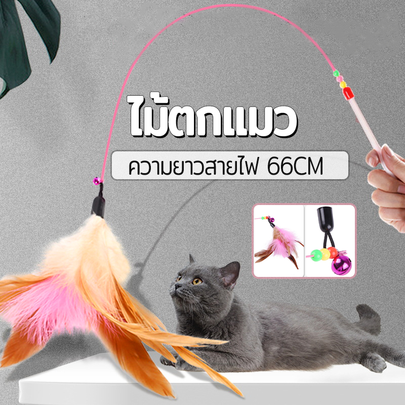 ไม้ตก ของเล่นแมวมีกระดิ่ง รุ่นปอมปอม สําหรับฝึกทักษะ ไม้ล่อแมว 66 ซม