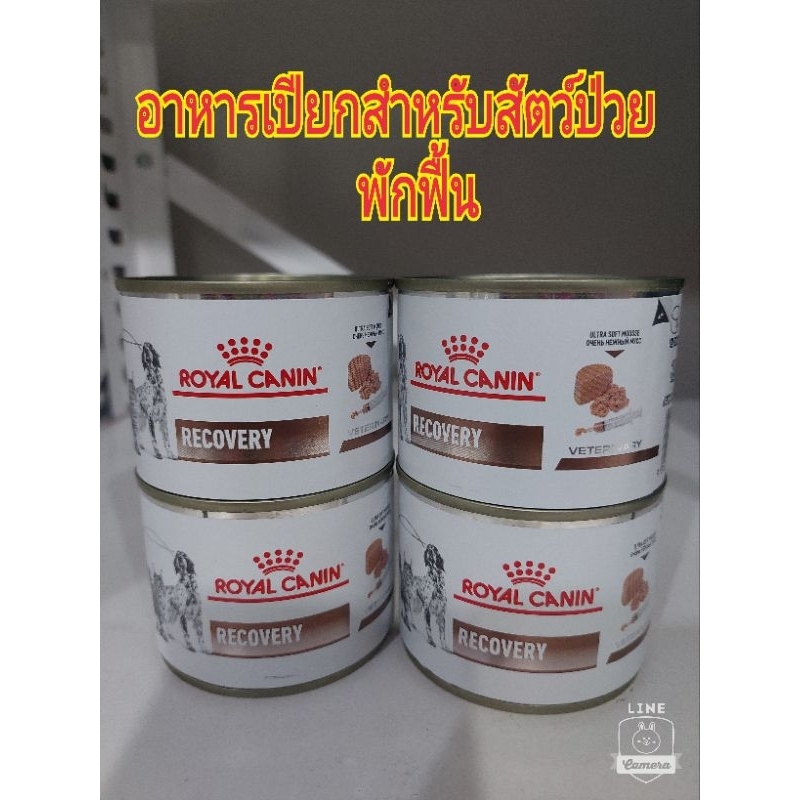 Royal Canin Recovery อาหารสําหรับสุนัขและแมว พักฟื้น ขนาด 195g 1กระป๋อง 25/09/27