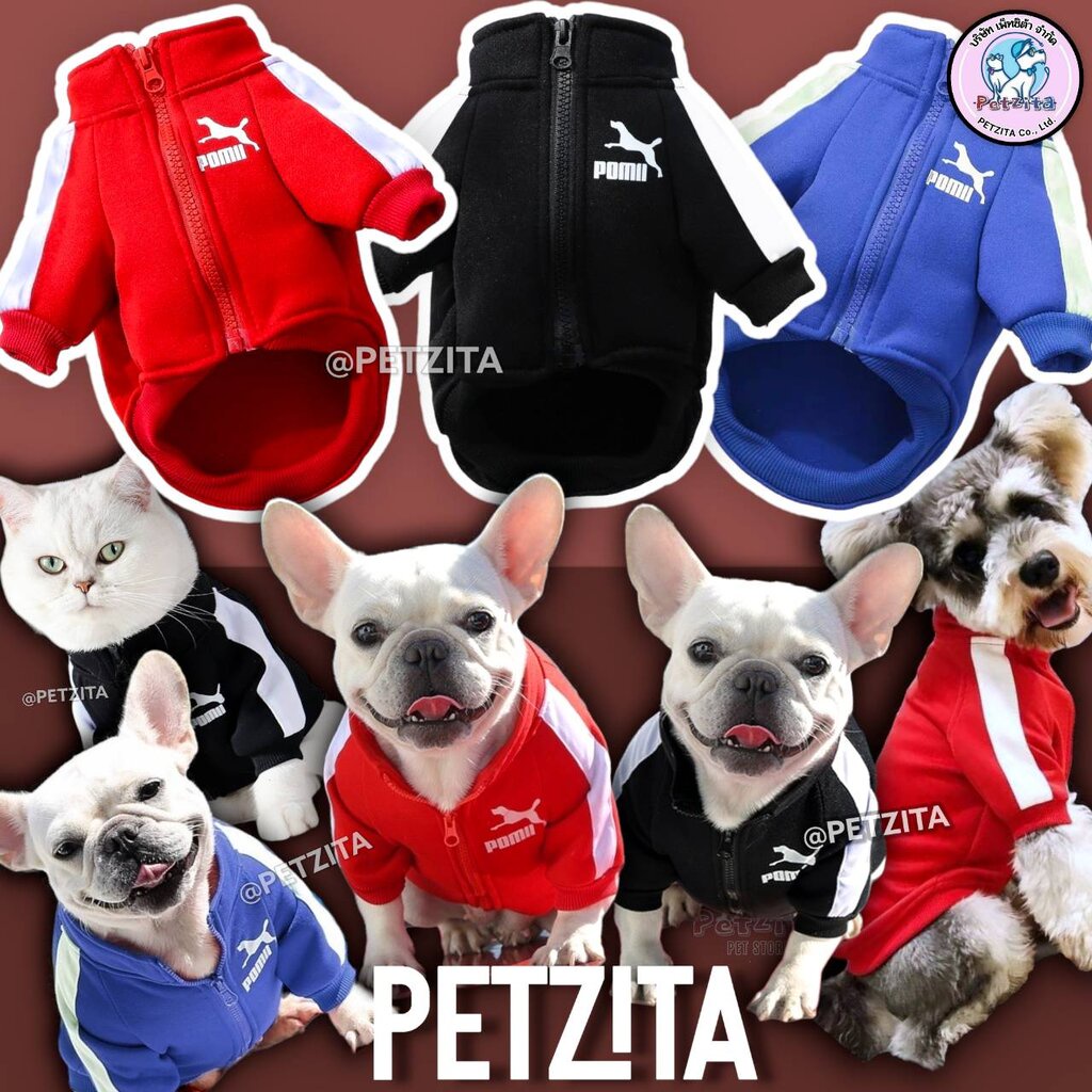 เสื้อวอร์ม แนวสปอร์ต สุดเท่ห์ *มีไซส์ใหญ่ หมาอ้วน งานแบรนด์ ผ้านิ่ม for pet สุนัข หมา แมว