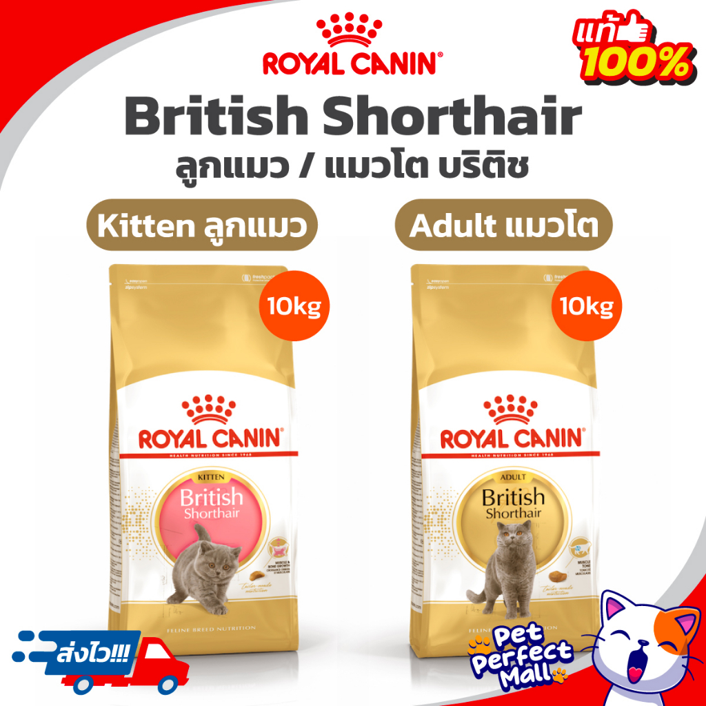 Royal Canin Kitten British Shorthair / British Shorthair Adult 10kg โรยัลคานิน อาหารแมวบริติช ถุง 10 กก