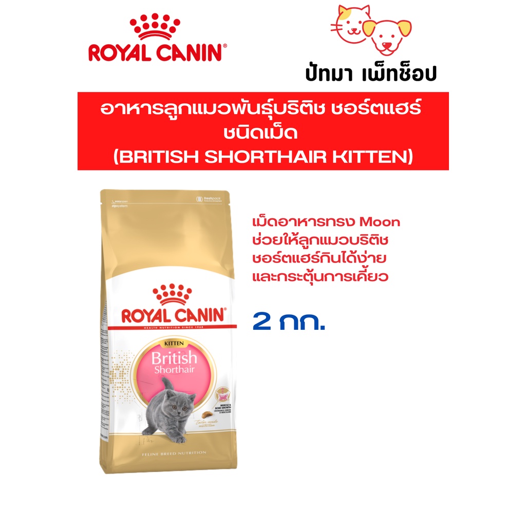 2 กก. ) British Shorthair Kitten / Royal Canin อาหารเม็ด สําหรับแมวโต พันธุ์บริติช ชอร์ตแฮร์