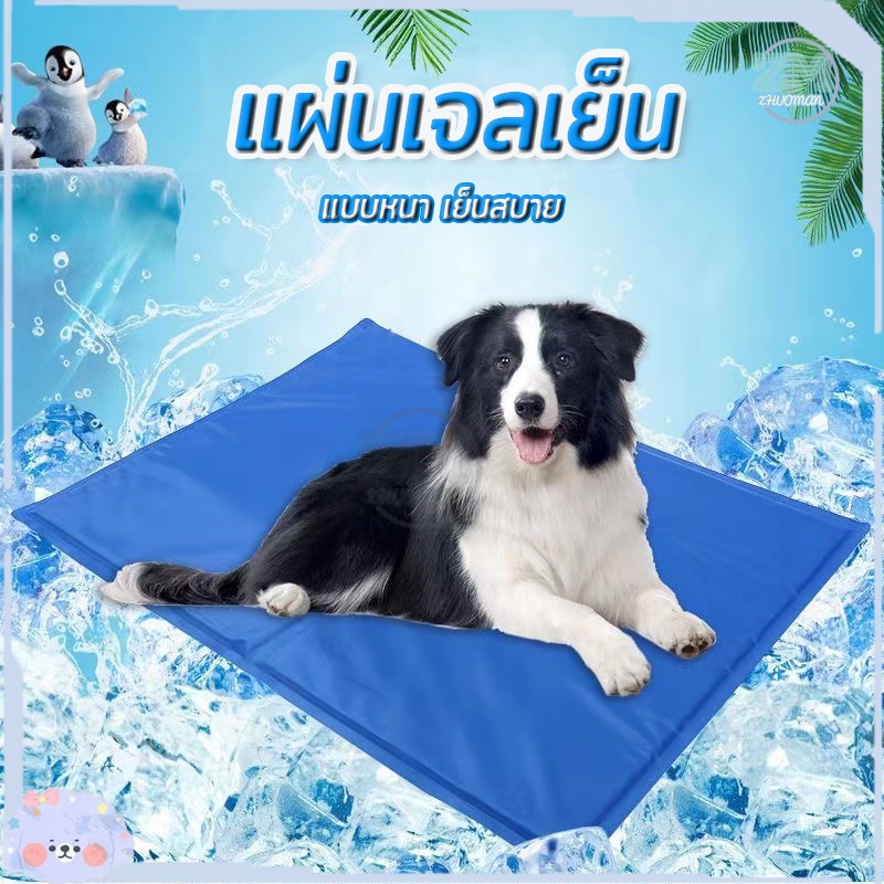 ที่นอนเย็น สําหรับตว์เลี้ยง ที่นอนเจลเย็น แผ่นเจลเย็นสุนัข แผ่นเจลเย็นแมว ที่นอนสัตว์เลี้ยง ที่นอนสุนัข แบบหนา เย็นสบาย