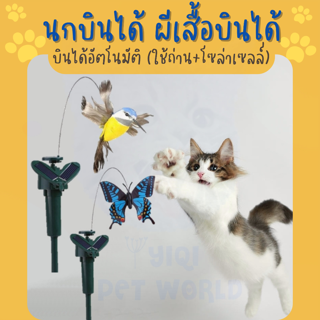 ของเล่นแมว นกบินได้ ผีเสื้อบินได้ ผึ้งบินได้ บินอัตโนมัติ คละสี ใส่ถ่านและโซล่าเซลล์ (Y028)
