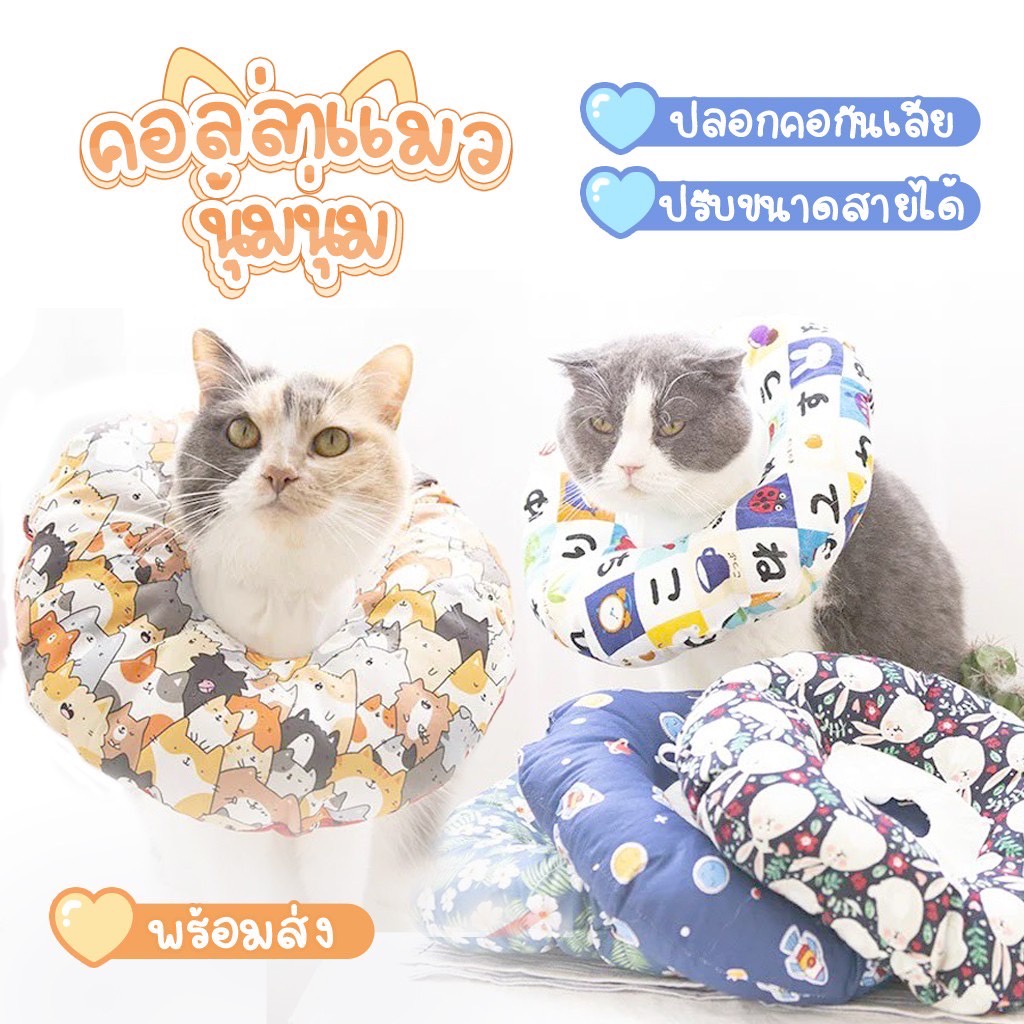 คอลล่าผ้า#คอลล่าน่ารัก#คอลล่าผ้ากันน้ํา#คอลล่าสไตล์ญี่ปุ่น#กันเลียกันกัด#กันเลียน้องแมว#กันเลียน้องแมว