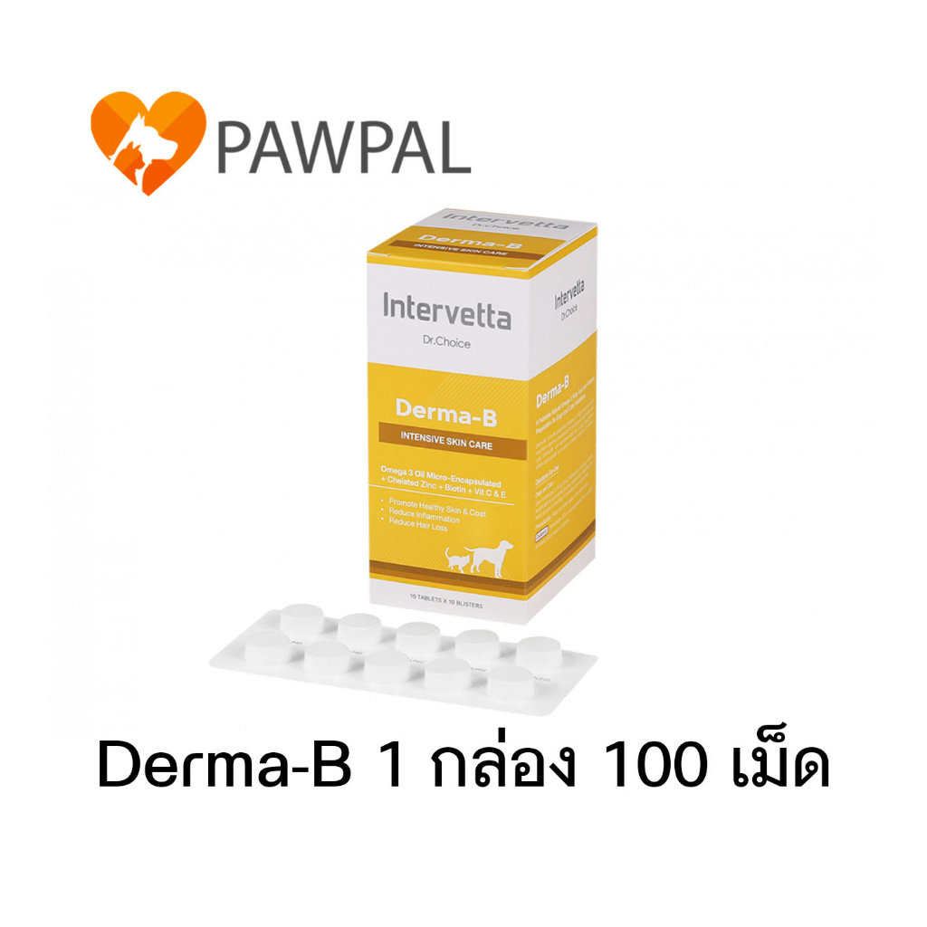 Dr. Choice Derma-B Exp.2028 Intervetta บํารุงขน บํารุงผิวหนัง สุนัข แมว skin supplement dog