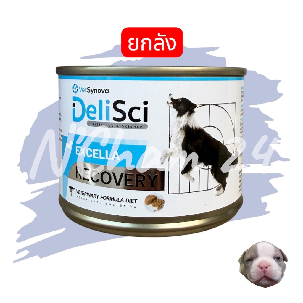 โปรดอ่านกอ่นสั่ง Vetsynova DeliSci Excella 185g. X12 กระป๋อง สําหรับสุนัข แมวกําลังพักฟื้น พลังงานสูง