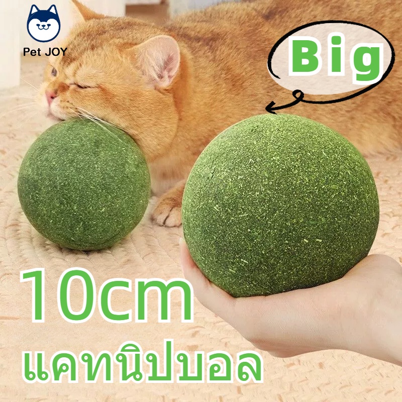 แคทนิปบอล ซุปเปอร์ใหญ่ 10cm กัญชาแมว ของเล่นแมวเลีย ผ่อนคลาย อารมณ์ดี