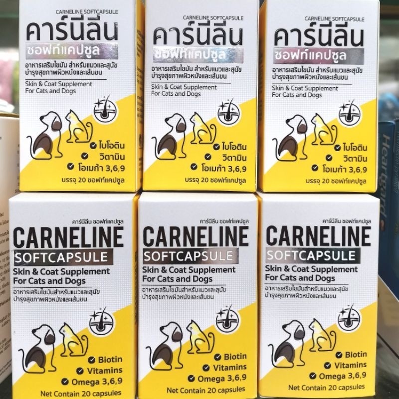 คาร์นิลีน ซ อฟท์ แคปซูล 💠วิตามิน บํารุง ขน และ ผิวหนัง 💠 สําหรับ สุนัข และ แมว ทุกสายพันธุ์(20 แคปซูล)