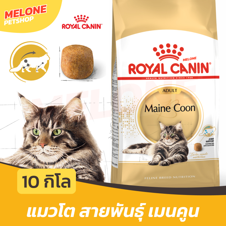 กระสอบ] Royal Canin Maine Coon Adult อาหารแมว แมวโต พันธุ์ เมนคูน อาหารแมว อายุ 15 เดือน ขึ้นไป ขนาด 10 กิโลกรัม